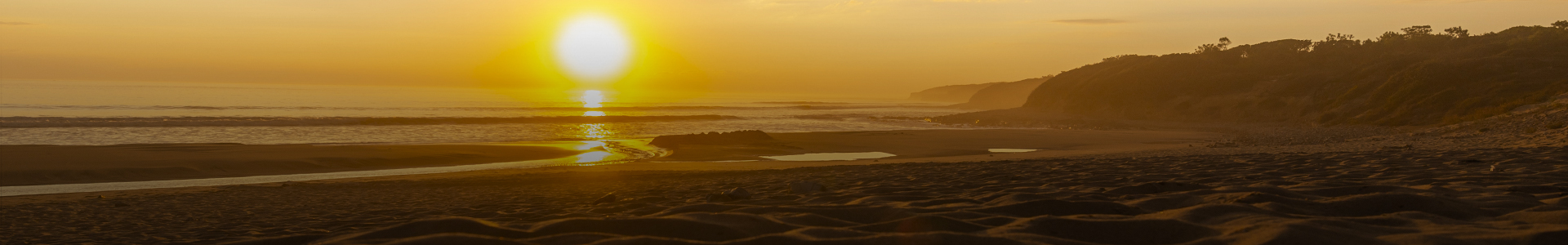 Vendée surf Schools en tête de page